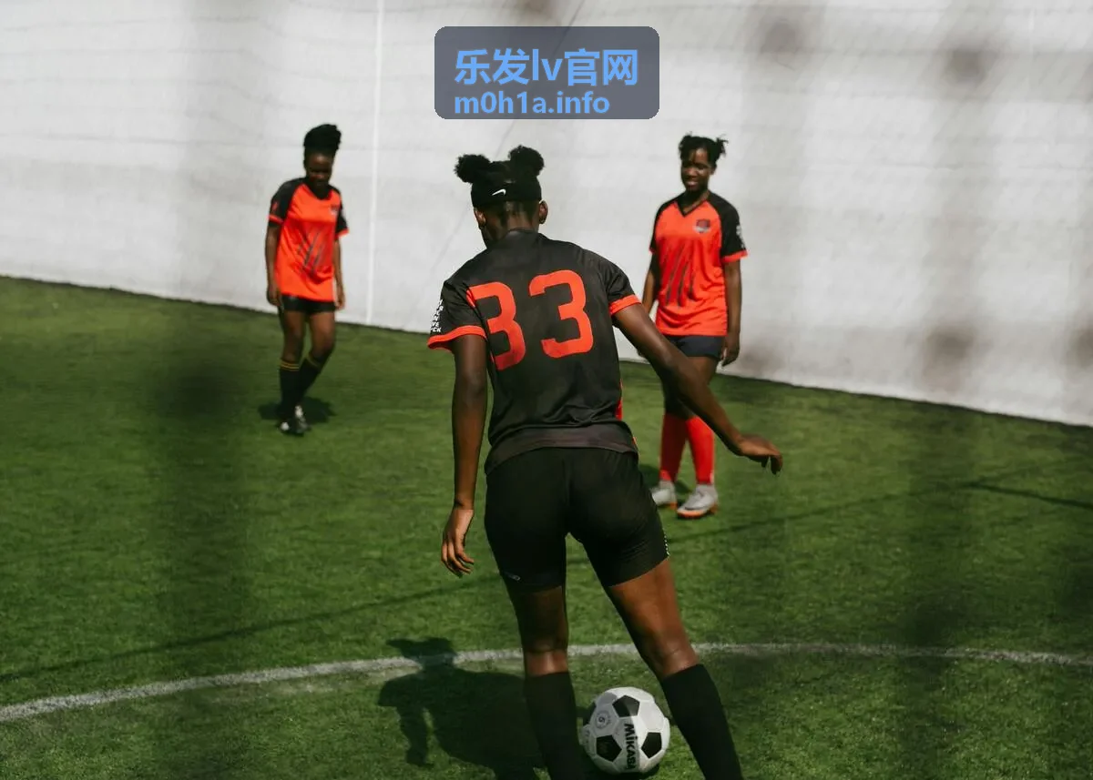 乐发LV官网进度查询功能